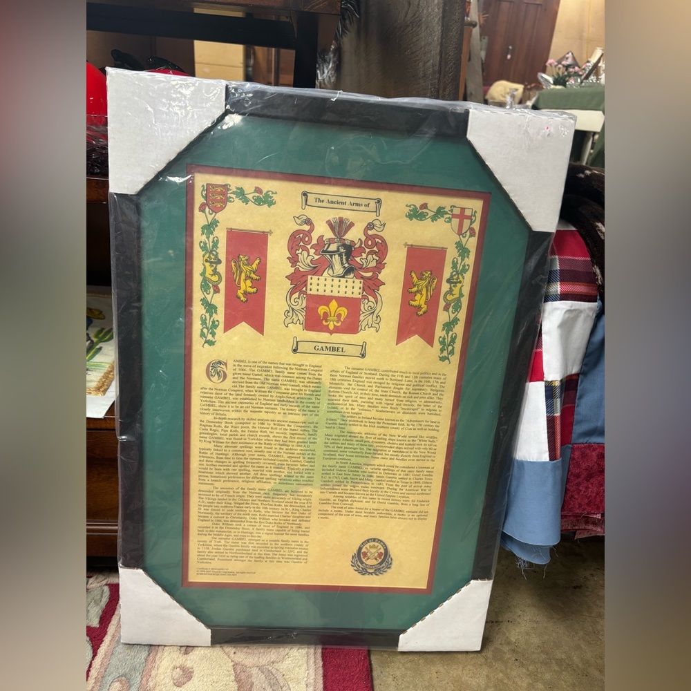 Surname History Print with Frame